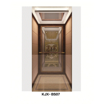 Ascenseur de villa avec acier inoxydable fini miroir (KJX-BS07)